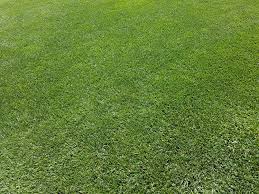 Artificial Grass Cleaner | AstroTurf Deodoriser