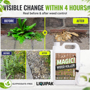 Liquipak Magic Weed Killer bottle shown with a spray nozzle, alongside before-and-after lawn and garden photos demonstrating weed control results within 4 hours.