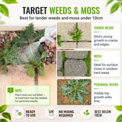 An informational product graphic for Target Weeds & Moss weed killer. The left side shows a hand spraying a garden bed with a white spray bottle, while the right side features three panels illustrating the product's effects on tender weeds, moss, and perennial weeds.