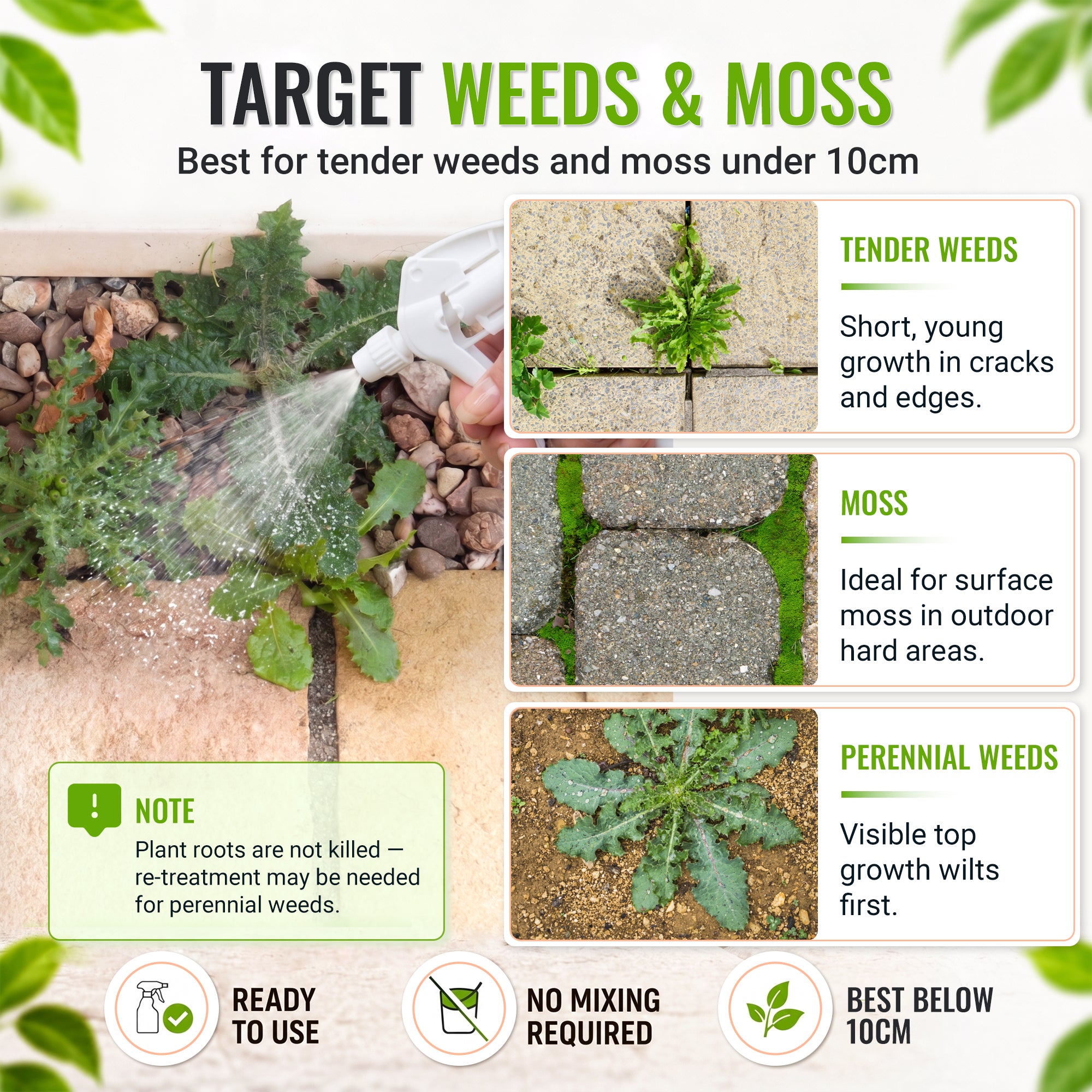 An informational product graphic for Target Weeds & Moss weed killer. The left side shows a hand spraying a garden bed with a white spray bottle, while the right side features three panels illustrating the product's effects on tender weeds, moss, and perennial weeds.