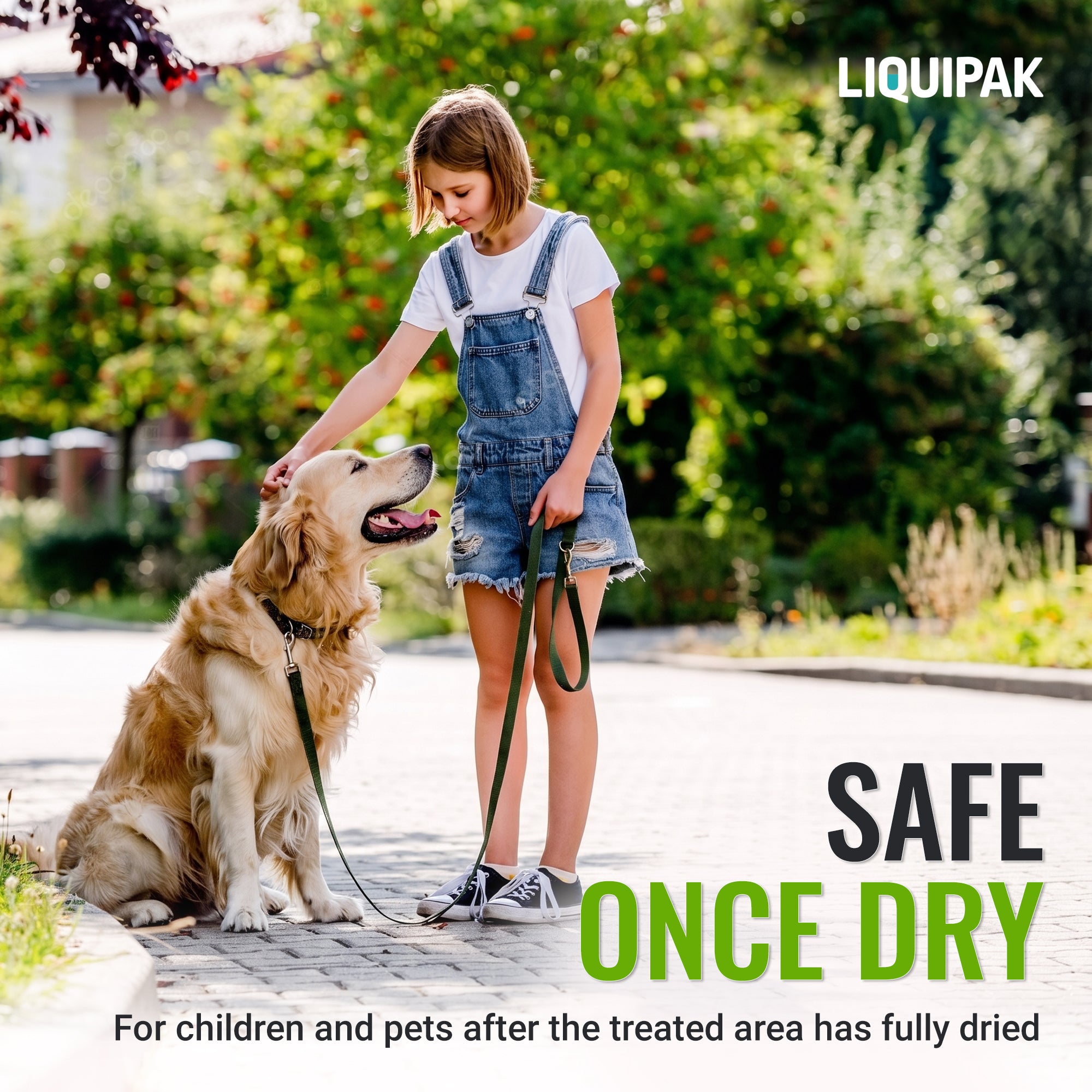 A girl in denim overalls stands outdoors on a paved path next to a golden retriever dog, holding a leash. The scene is bright and sunny with green trees in the background.