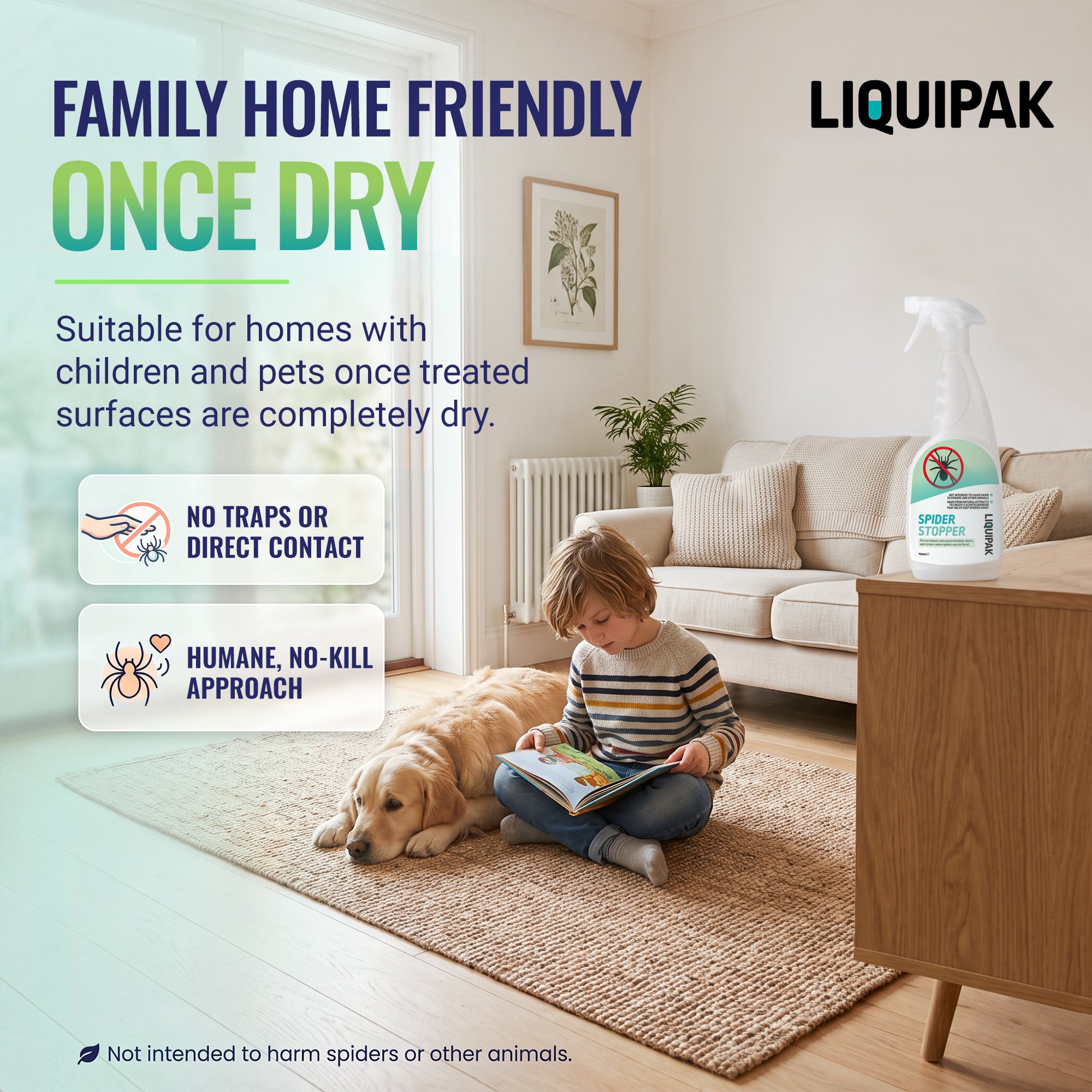 Liquipak cross spider treatment spray bottle shown on a wooden side table in a bright living room, with a child reading a book on the floor and a golden retriever lying nearby. Text highlights family-friendly, once-dry properties and notes no traps or direct contact.