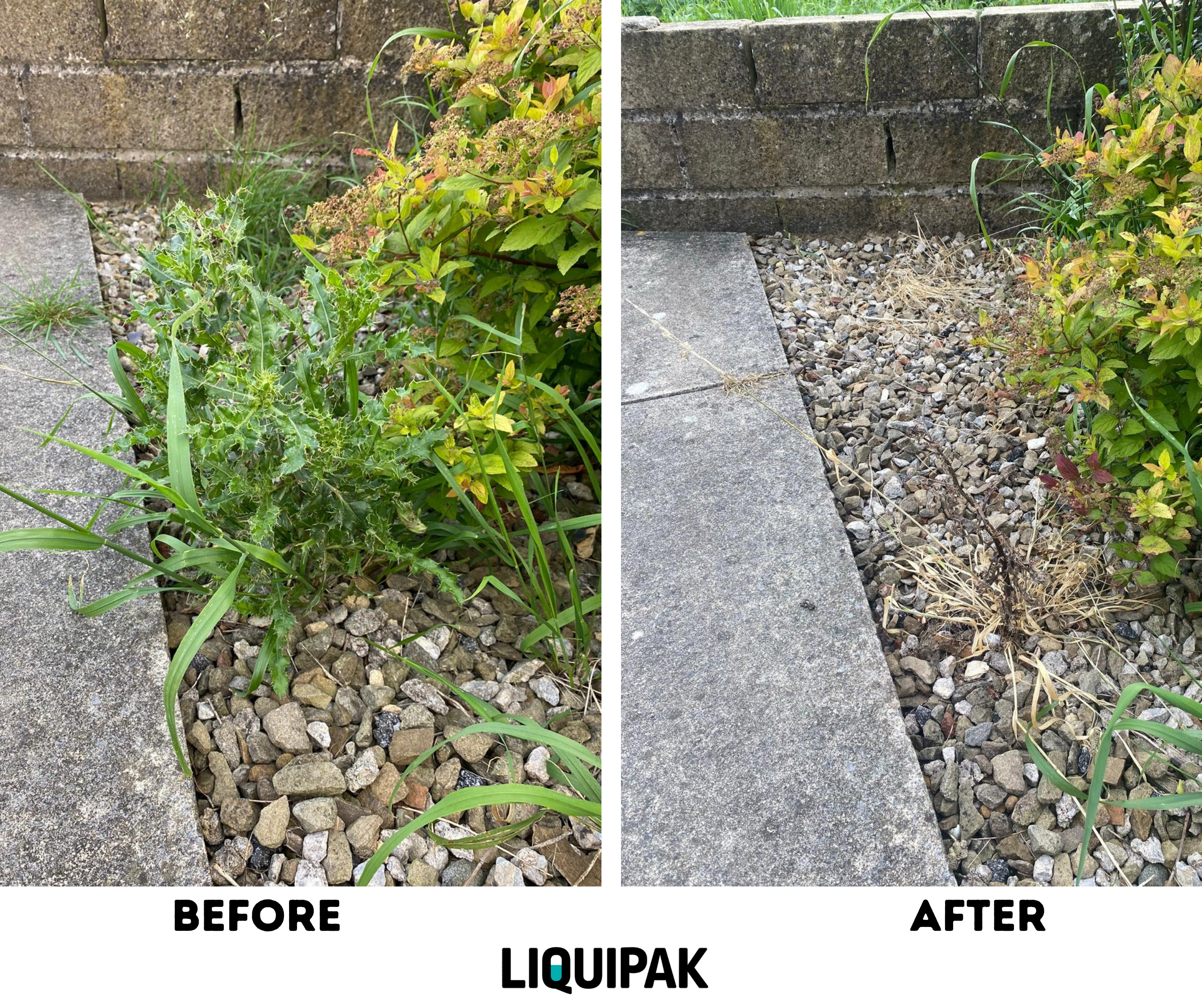 Before and after comparison of a garden bed with LIQUIPAK Weed Killer treatment.
