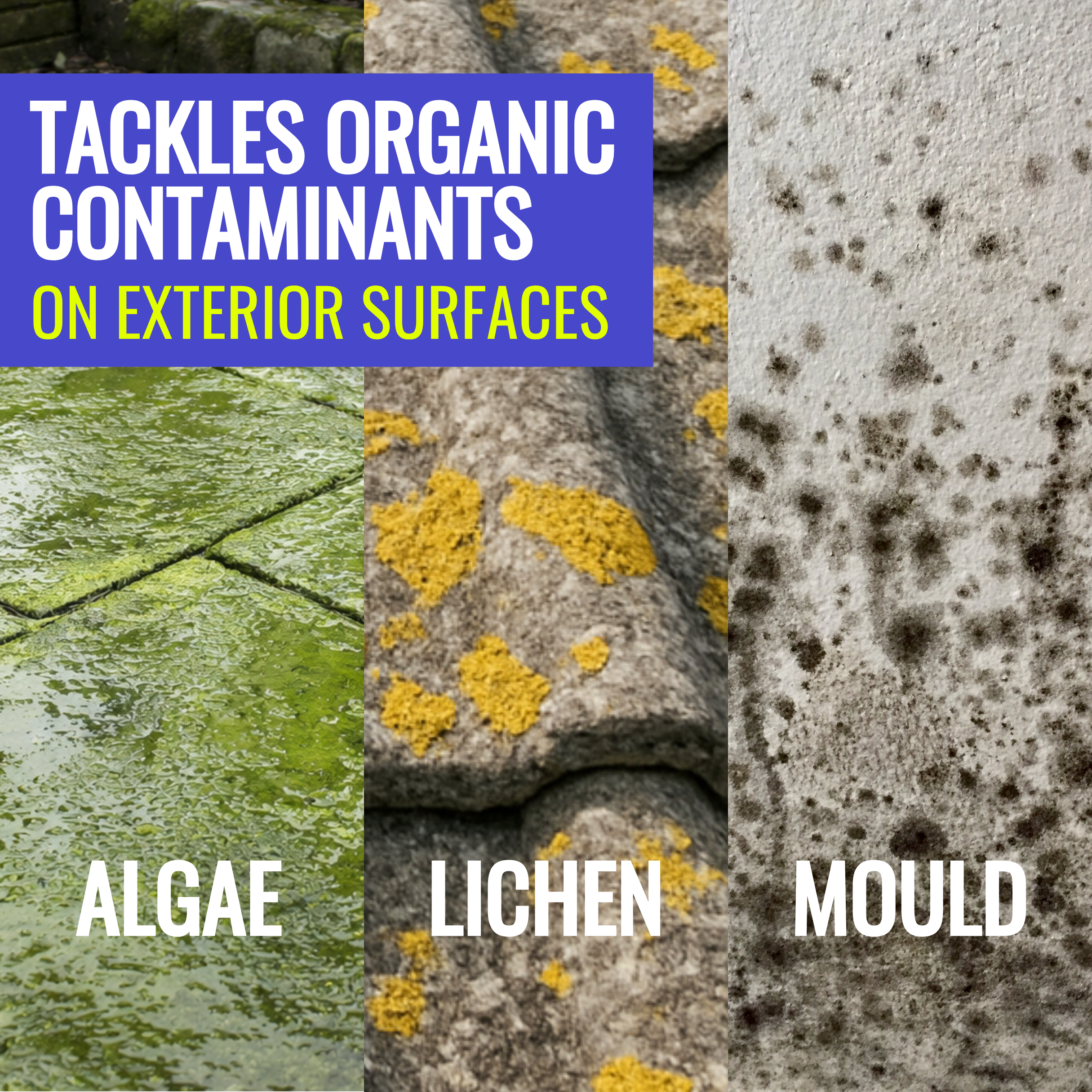 Advertisement showing images of algae, lichen, and mould on exterior surfaces with text highlighting the product's ability to tackle organic contaminants.