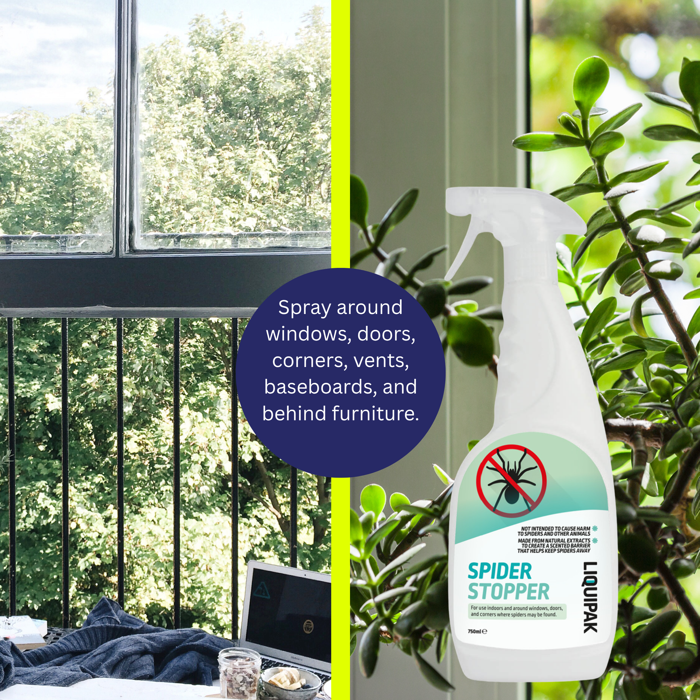 Liquipak Spider Stopper spray bottle with usage instructions in a room with plants and a window.