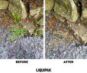 Comparison of garden bed with and without LIQUIPAK Weed Killer product application.