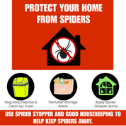 Poster with tips to protect home from spiders on a red background