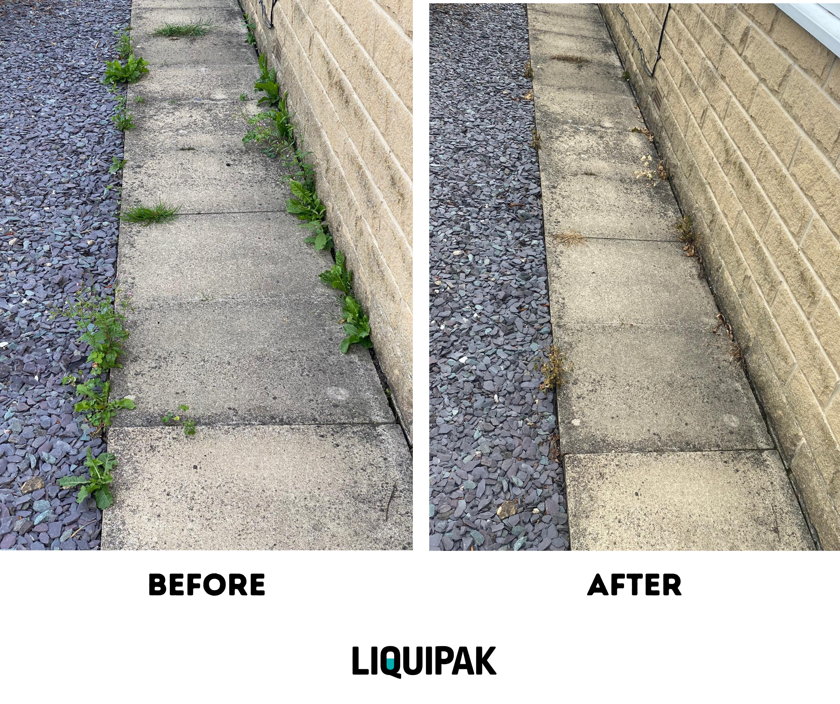 Comparison of a concrete sidewalk before and after using LIQUIPAK Weed Killer, with grass removed.