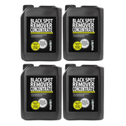 Black Spot Remover