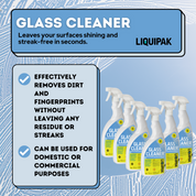 Glass Cleaner 6x750ml