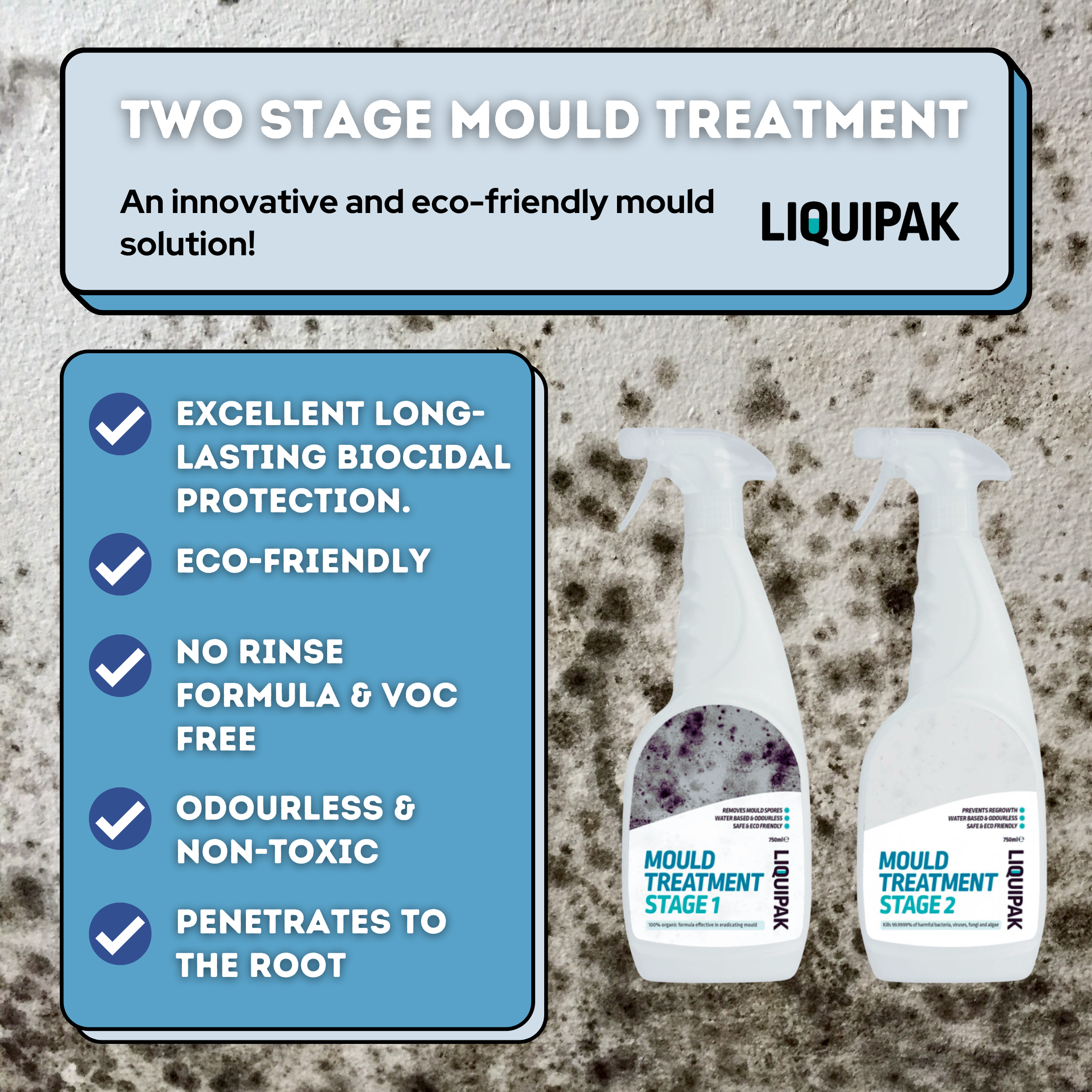 Two Stage Household Mould Treatment