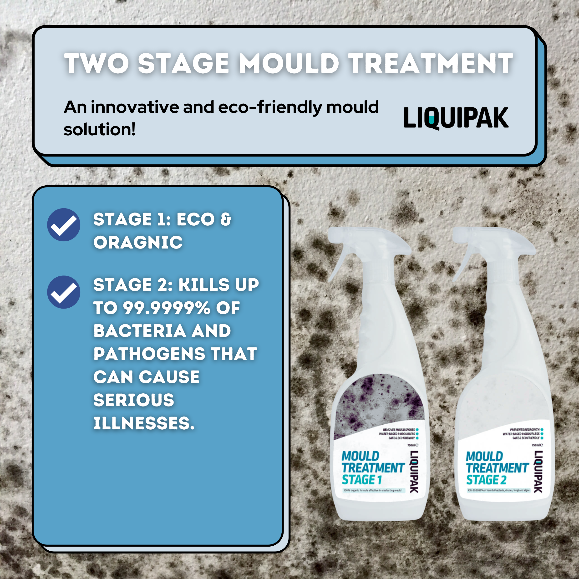 Two Stage Household Mould Treatment