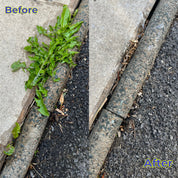 Comparison of weeds on a concrete surface before and after removal.