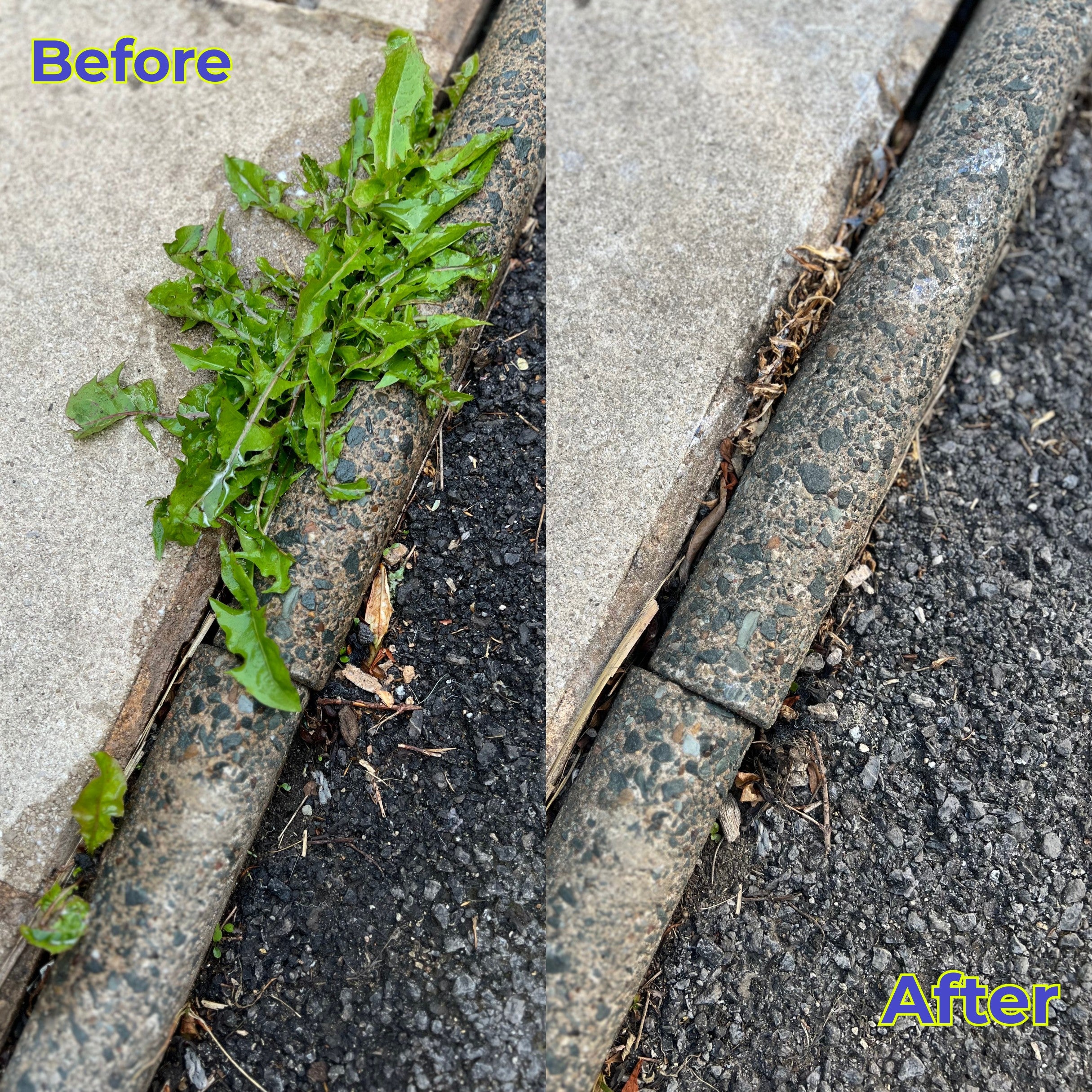 Comparison of weeds on a concrete surface before and after removal.