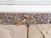 Magic Weed Killer Before & After Images | Liquipak