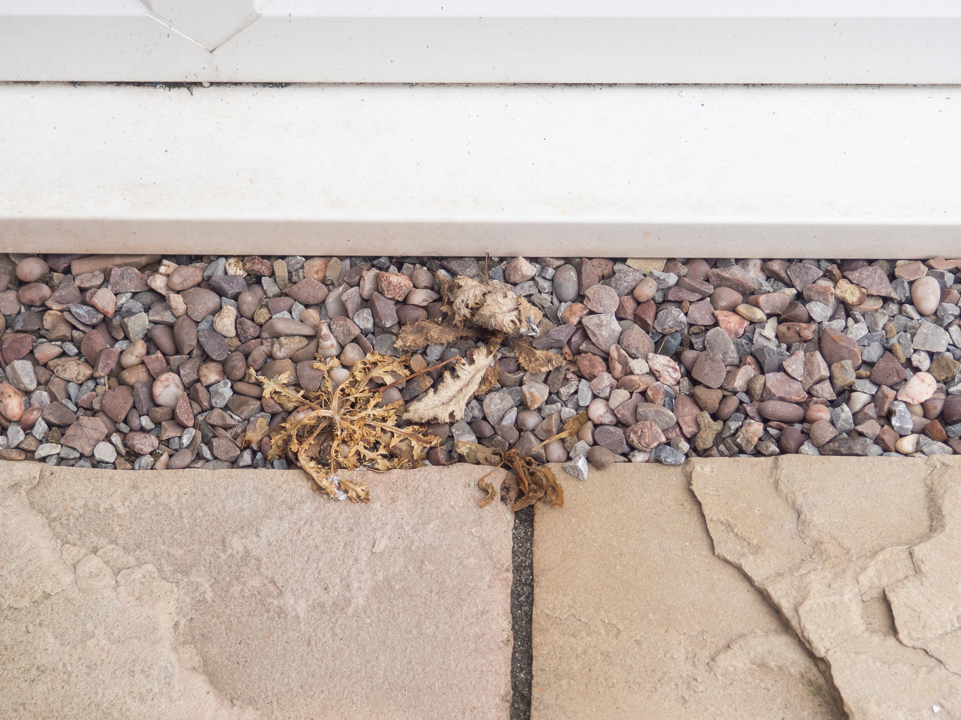 Magic Weed Killer Before & After Images | Liquipak