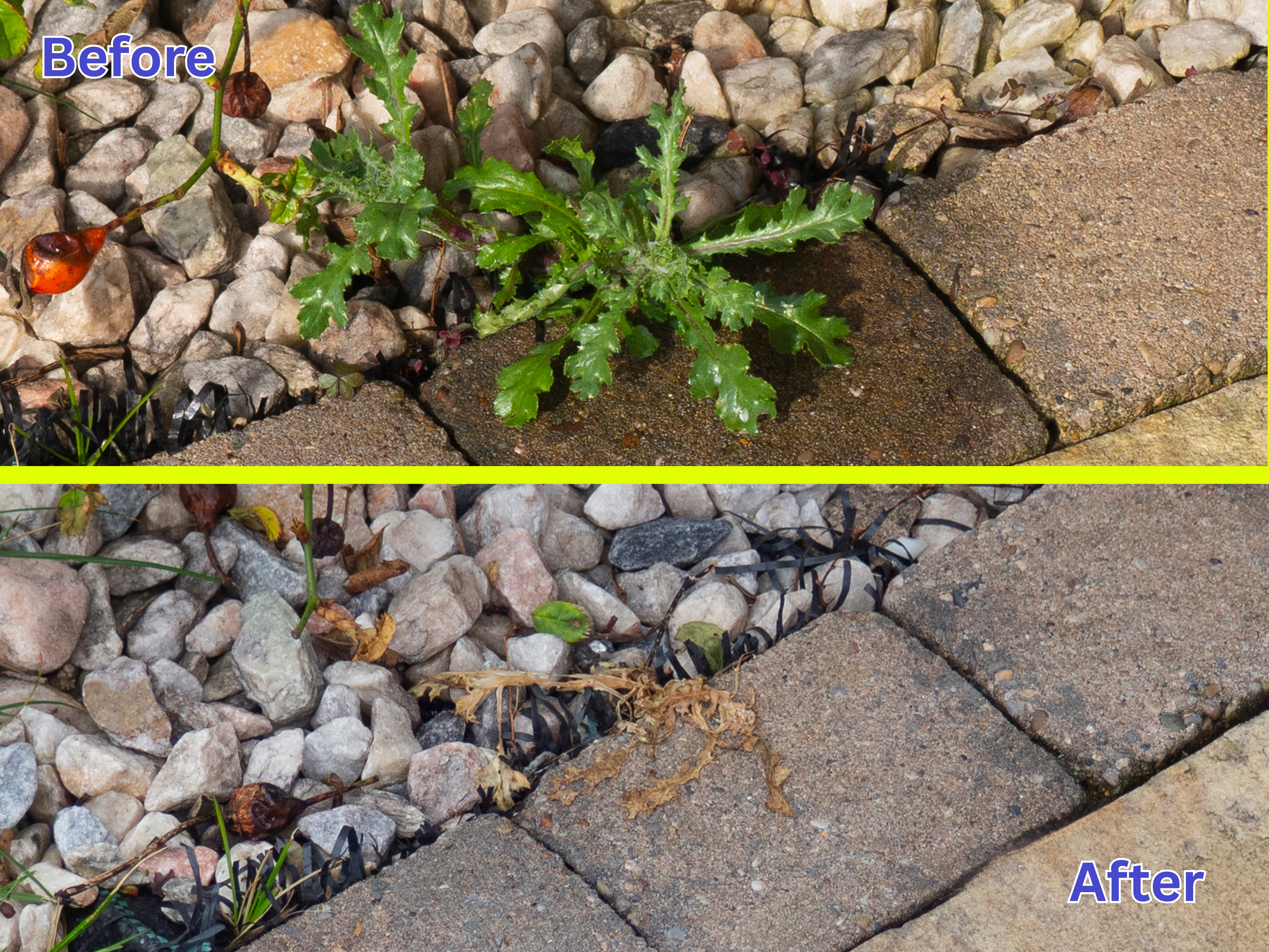 Comparison of a garden area with weeds before and after cleaning.