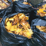 Black Refuse Sacks 200 Pack (Flat Pack) – Medium, Heavy & Extra Heavy Duty Bin Bags