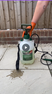 Comparison of a Narrow Paved Path ‘Before’ and ‘After’ Cleaning with Liquipak Magic Patio Cleaner